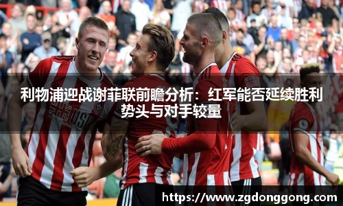 zoty中欧