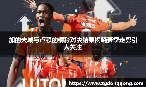 加的夫城与卢顿的精彩对决结果揭晓赛季走势引人关注