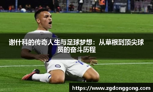 谢什科的传奇人生与足球梦想：从草根到顶尖球员的奋斗历程