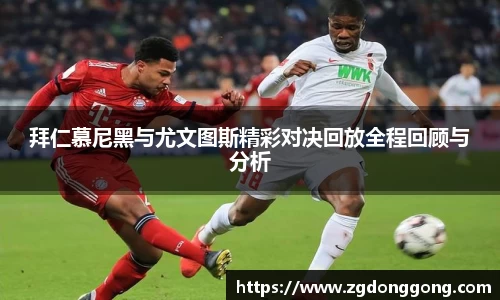zoty中欧