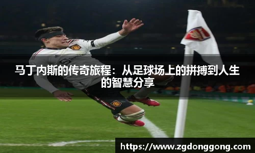 zoty中欧