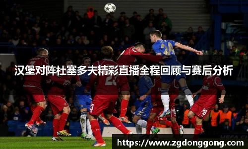 zoty中欧