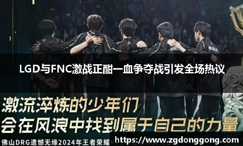 zoty中欧