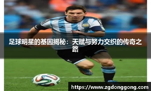 zoty中欧