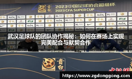 武汉足球队的团队协作揭秘：如何在赛场上实现完美配合与默契合作